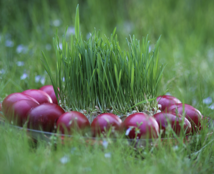 Easter Card 2026 BRAMS Institute